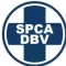 SPCA-800-banner.png-e1697818695232.webp